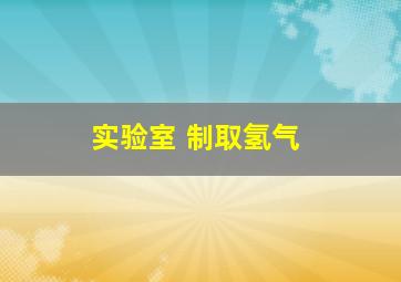 实验室 制取氢气